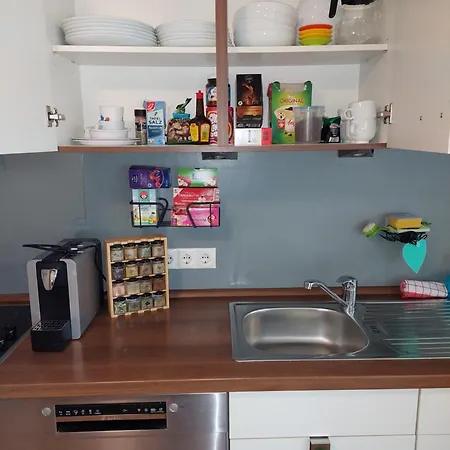 Alte Schmiede Apartmán Pasov